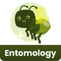 Entomology Quick Notes